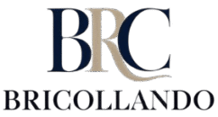 professional logo with navy blue accents removebg preview